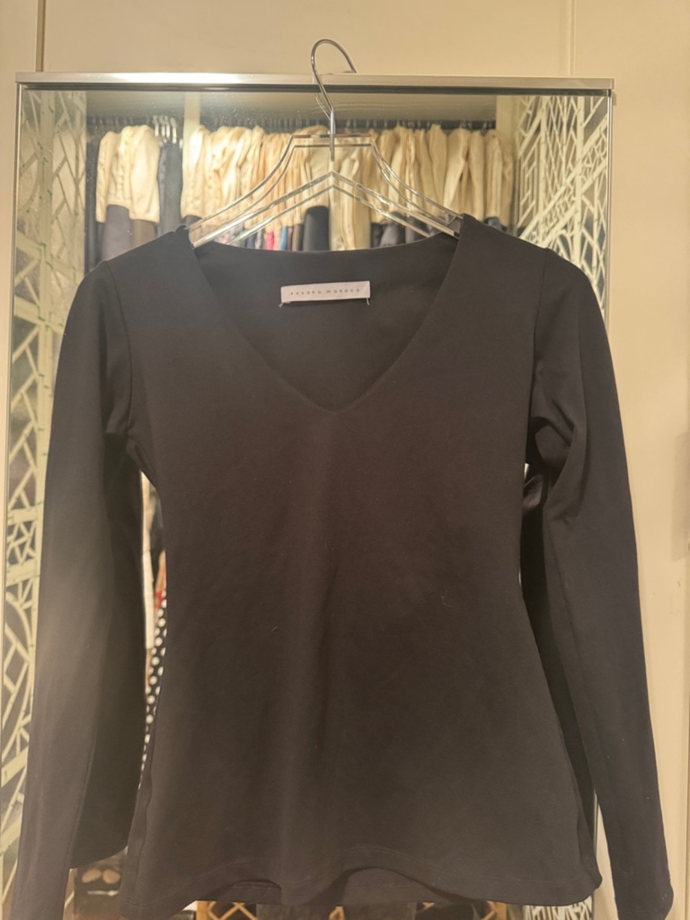 Susana Monaco Black V-Neck Long Sleeve Top